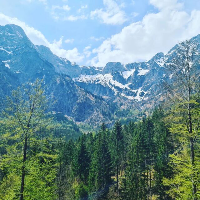 Almsee 🤍 so schön da
